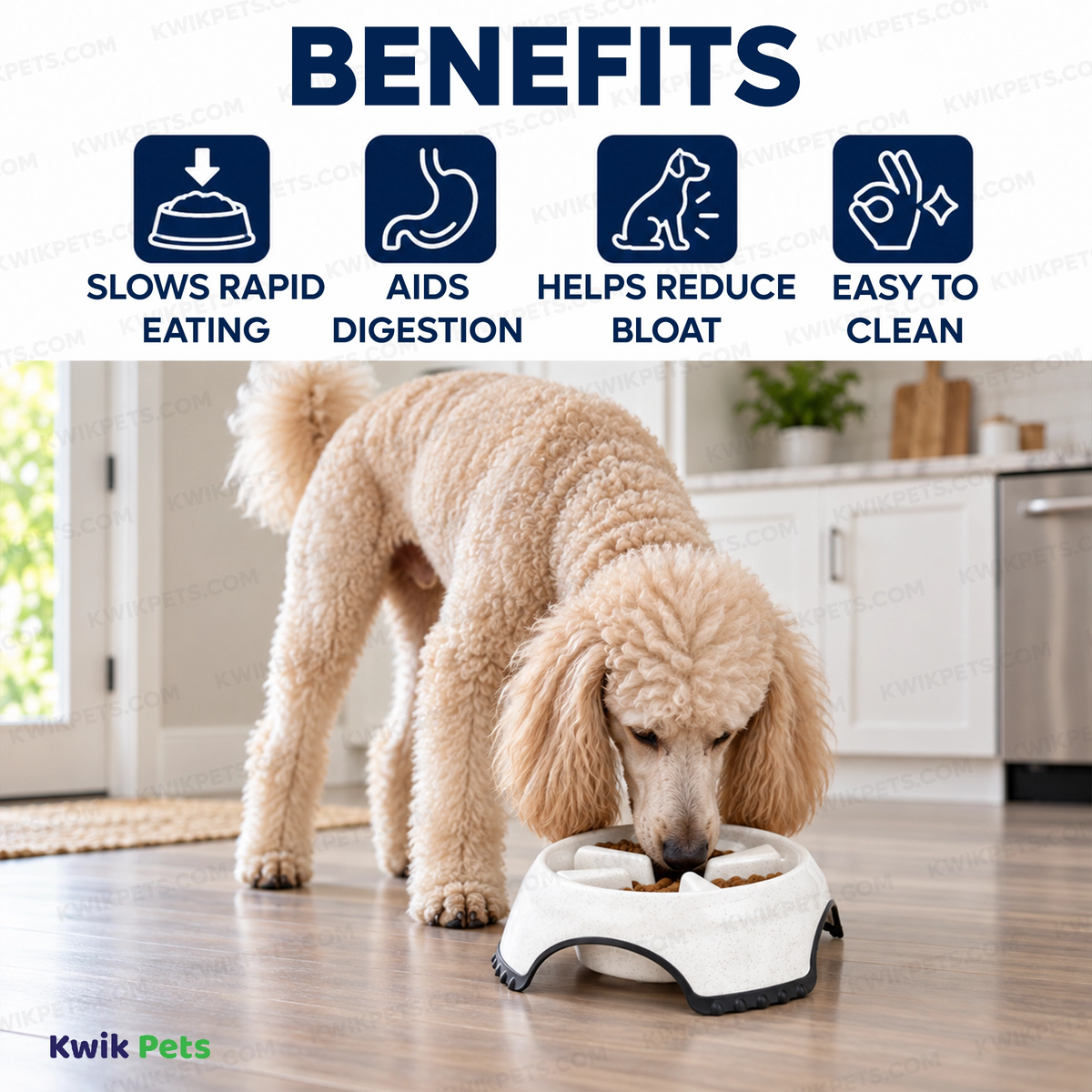 benefits of JW Pet Skid Stop Slow Feed Dog Bowl Assorted Medium