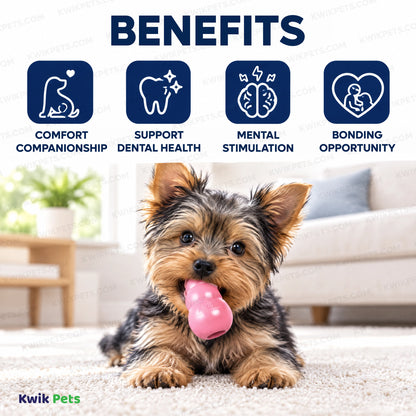 Benefits of KONG Puppy Toy Assorted Small
