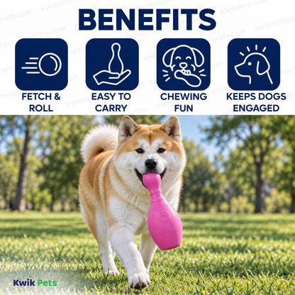 Benefits of JW Pet Bouncin' Bowlin Pin Dog Toy Assorted Large