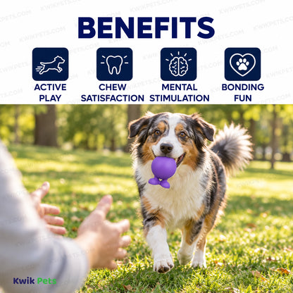 Benefits of JW Pet Good Cuz Dog Toy Assorted Medium