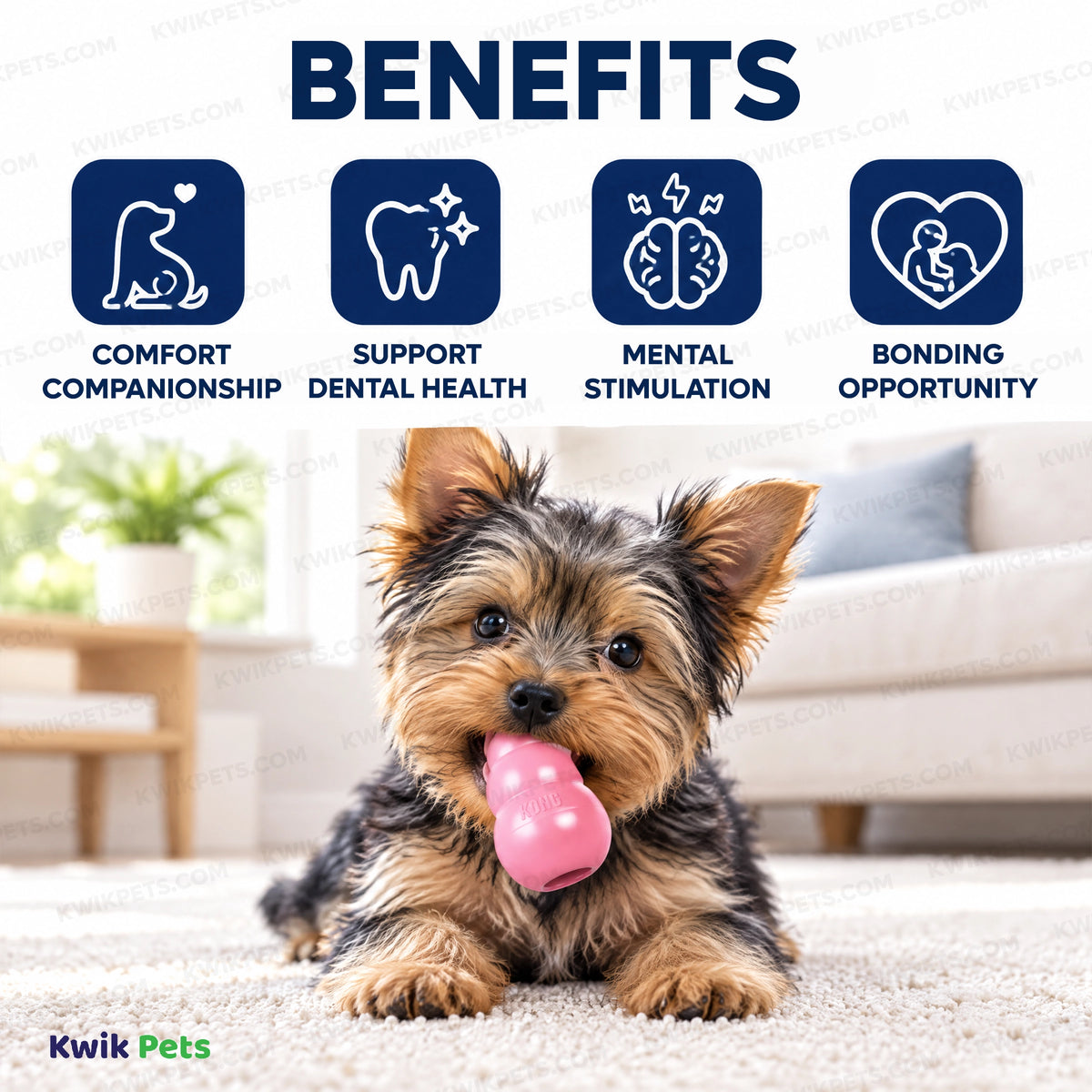 Benefits of KONG Puppy Toy Assorted  XS