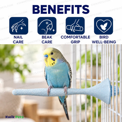 Benefits of JW Pet Sand Perch for Bird Assorted Regular