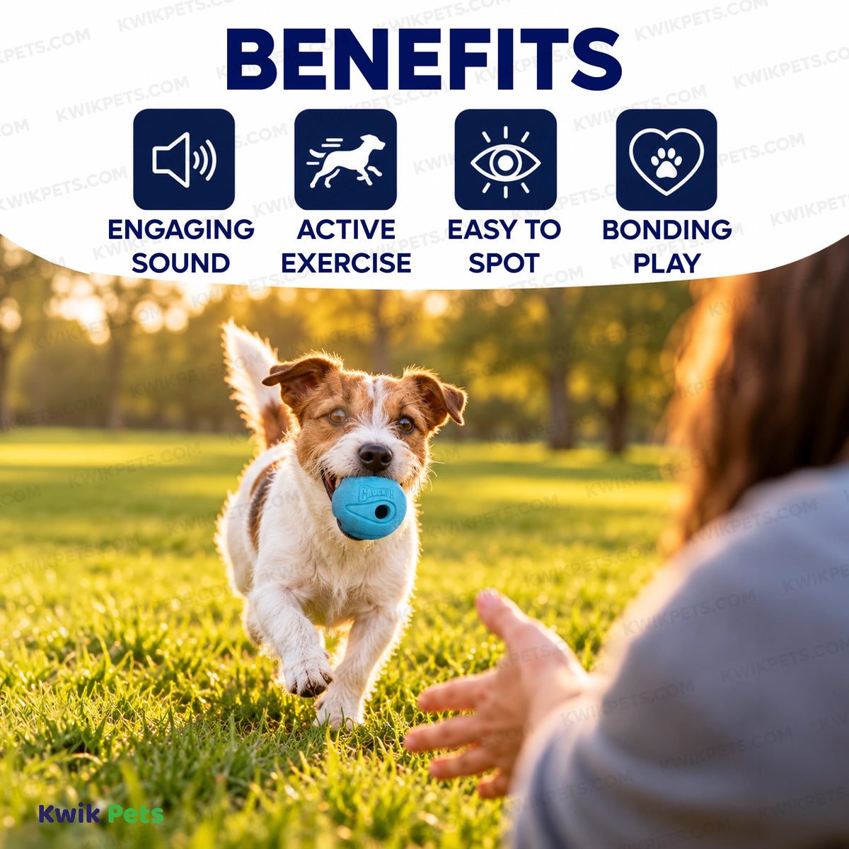 benefits of Chuckit! The Whistler Ball Dog Toy Assorted Small 2 Count