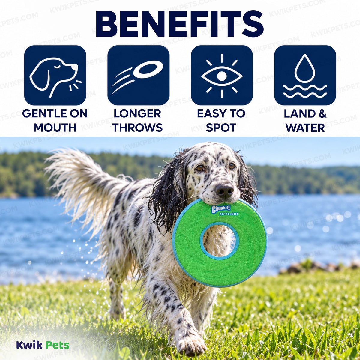 Benefits of Chuckit! ZipFlight Flying Ring Dog Toy Assorted Medium
