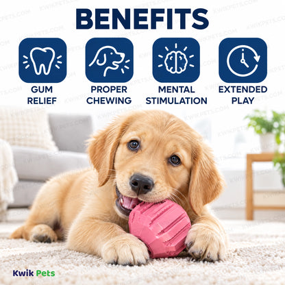 Benefits of KONG Activity Ball Puppy Dog Toy Assorted Medium
