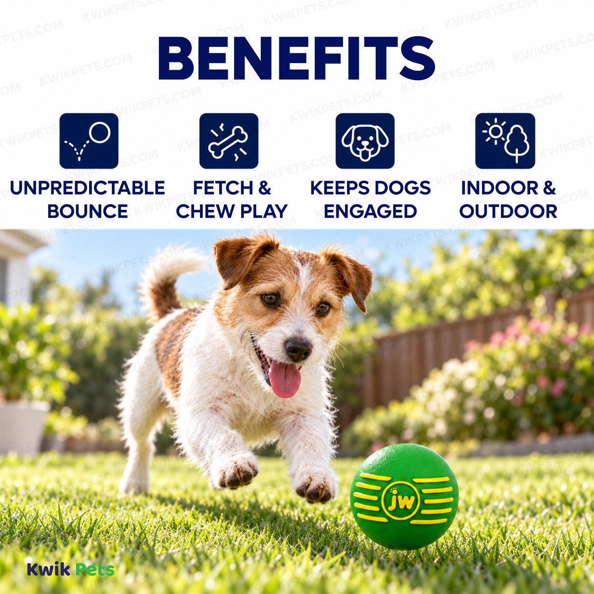 Benefits of JW Pet iSqueak Ball Dog Toy Assorted Large