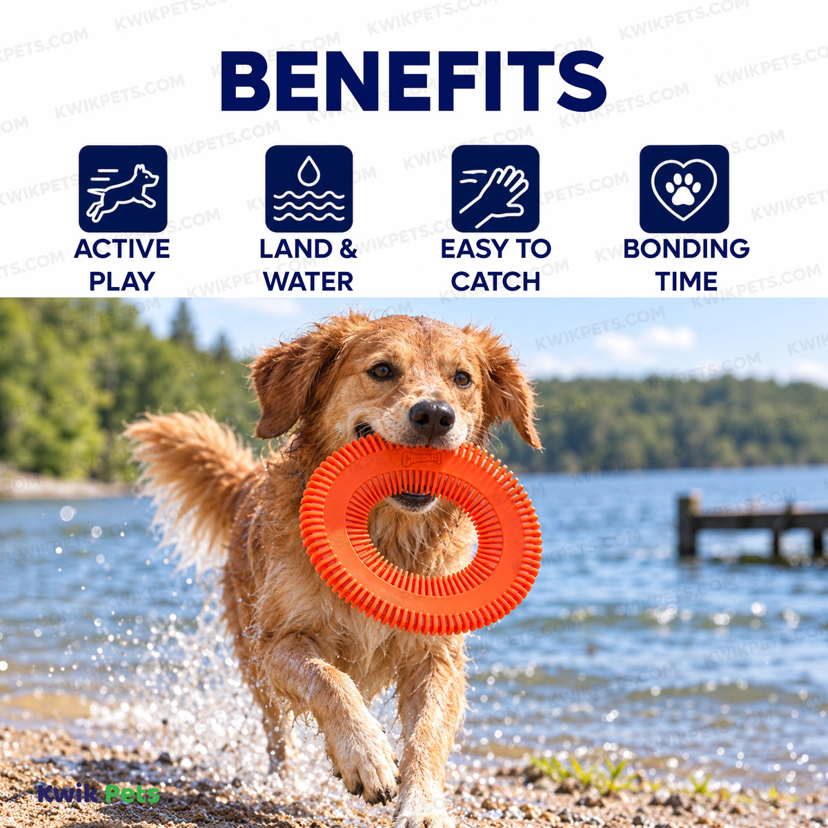 Benefits of Chuckit! Rugged Flyer Disc Dog Toy Assorted Medium