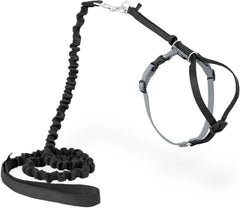PetSafe Premier Come With Me Kitty Harness & Bungee Leash Combo Black/Silver Small