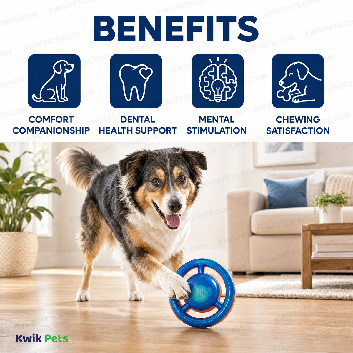 Benefits of KONG Jumbler Dog Toy Disc Assorted Medium/Large