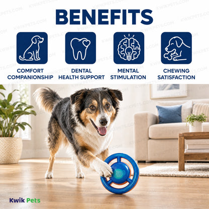 Benefits of KONG Jumbler Dog Toy Disc Assorted Medium/Large