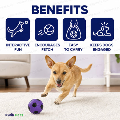 Benefits of Spot Latex Soccer Ball Dog Toy Assorted 2-in