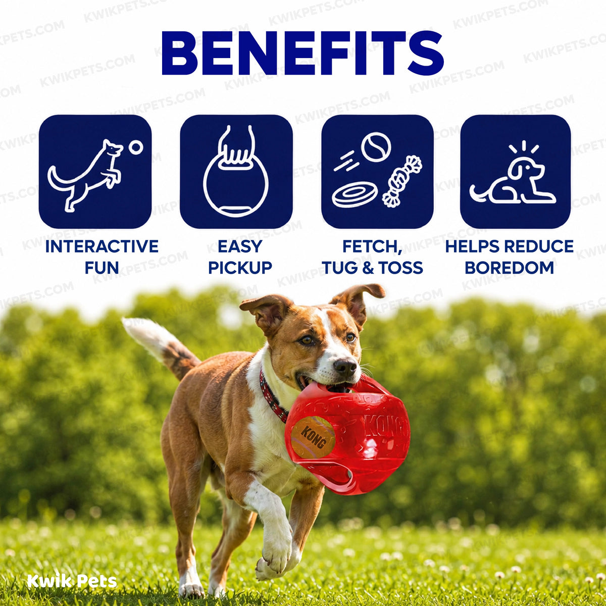 Benefits of Front 1 of KONG Jumbler Dog Toy Ball Assorted Large/X-Large