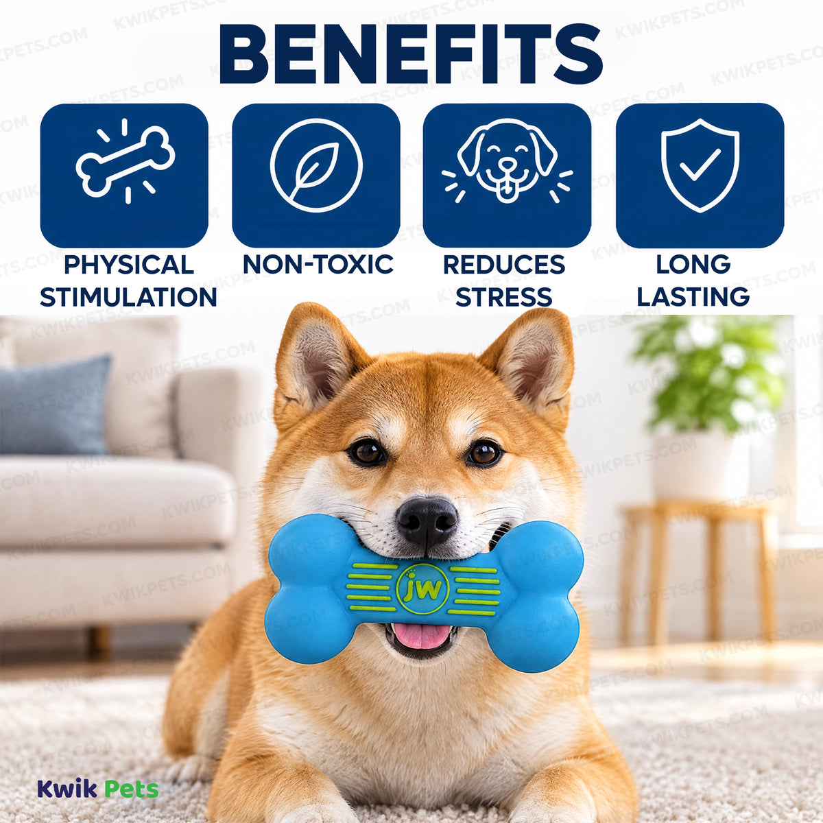 Benefits of JW Pet iSqueak Bone Dog Toy Assorted Medium