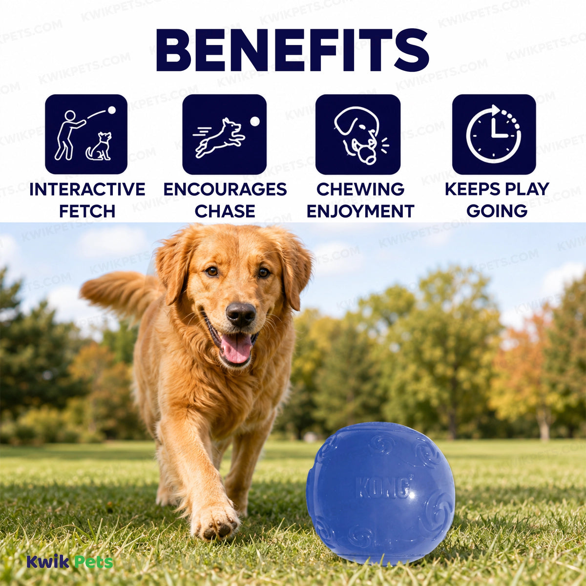 Benefits of KONG Squeezz Ball Dog Toy Color Assorted XL