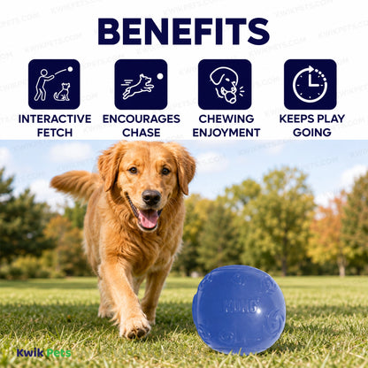 Benefits of KONG Squeezz Ball Dog Toy Color Assorted XL
