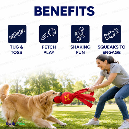 Benefits of KONG Water Wubba Dog Toy Assorted XL 