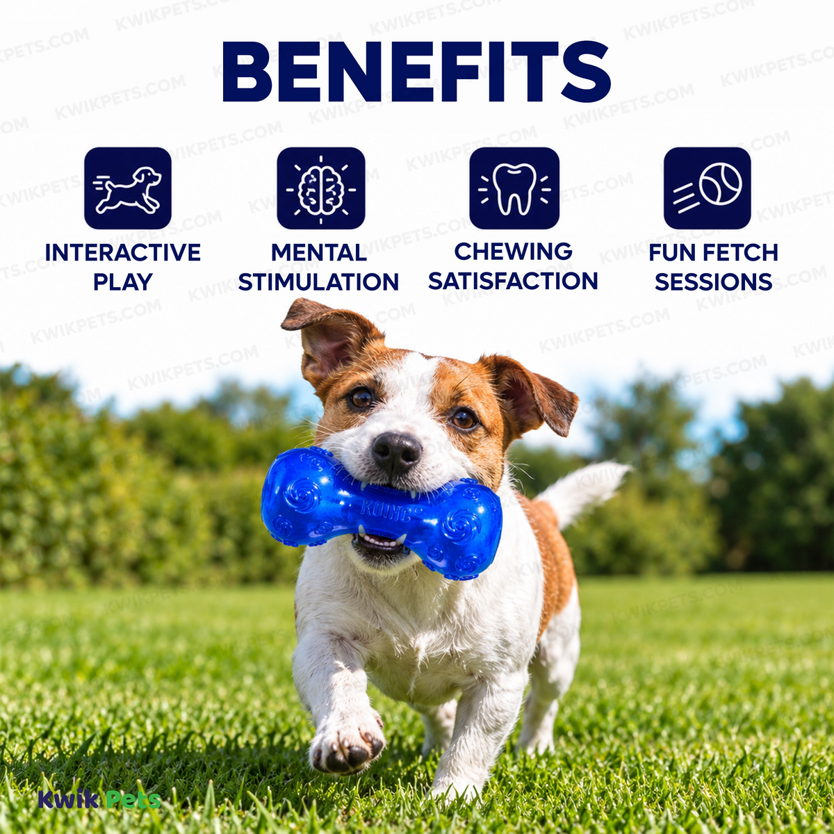 Benefits of KONG Squeezz Dumbbell Dog Toy Assorted Small