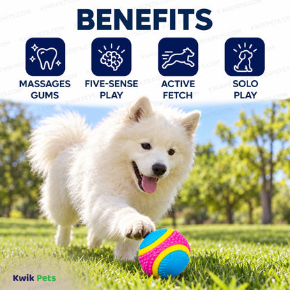 Benefits of Spot Sensory Ball Dog Toy Assorted Small 2.5-in