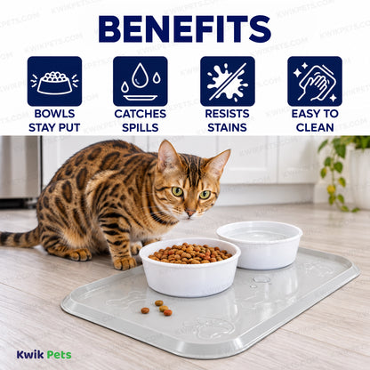 Benefits of Van Ness Plastics Pet Dinner Mat Assorted Small
