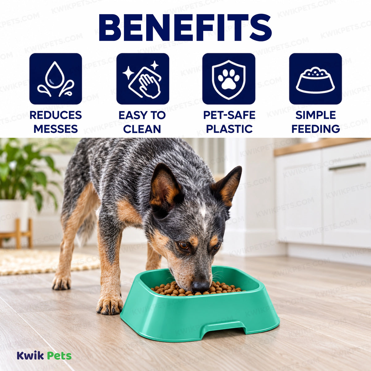 Benefits of Van Ness Plastics Lightweight Dish Assorted Small