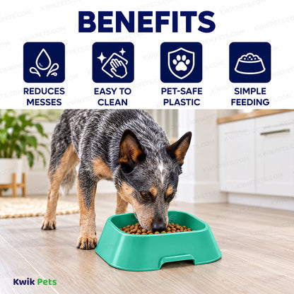 Benefits of Van Ness Plastics Lightweight Dish Assorted Small