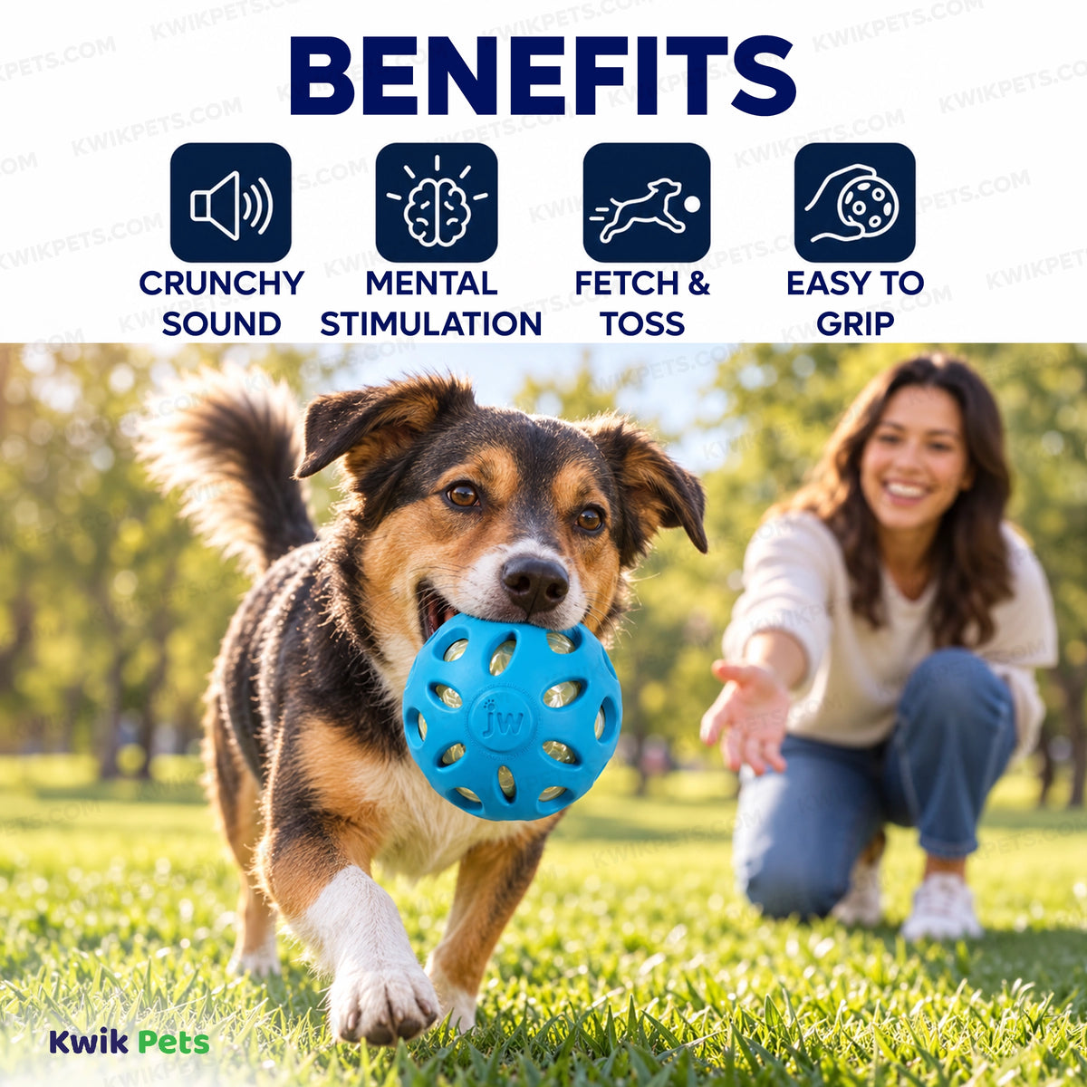 Benefits of JW Pet Crackle Heads Crackle Ball Dog Toy Assorted Medium