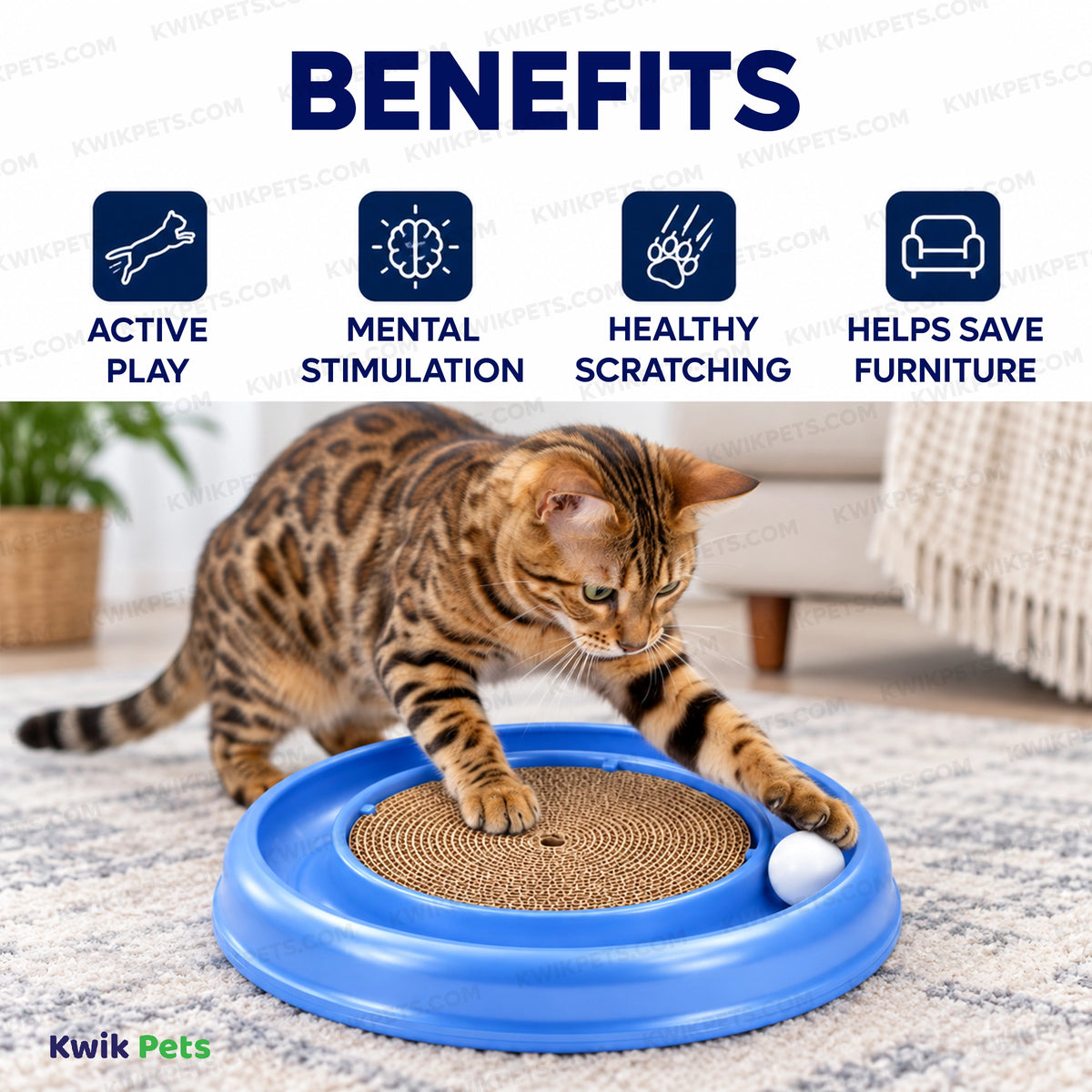 Benefits of Bergan Turbo Scratcher Cat Toy Assorted