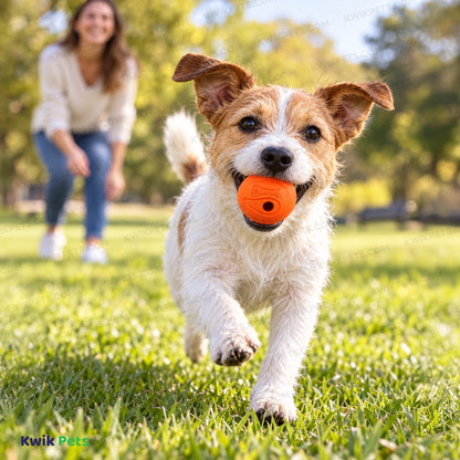 Lifestyle of Chuckit! The Whistler Ball Dog Toy Assorted Small 2 Count
