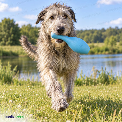 Lifestyle of JW Pet Bouncin' Bowlin Pin Dog Toy Assorted Large