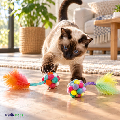 Lifestyle of KONG Active Bubble Ball Cat Toy Assorted One Size