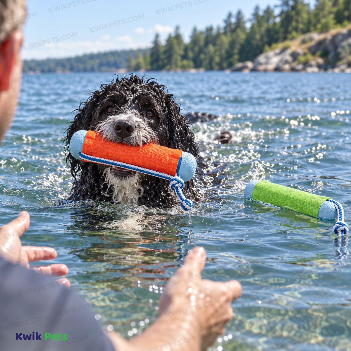 Lifestyle of Chuckit! Amphibious Bumper Dog Toy Assorted Small