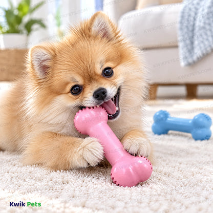 Lifestyle of KONG Goodie Bone Puppy Toy Assorted Small