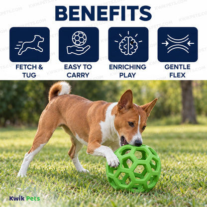 Benefits of JW Pet Hol-ee Roller Dog Toy Assorted Small