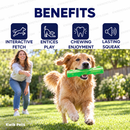 Benefits of KONG Squeezz Stick Dog Toy Assorted Large