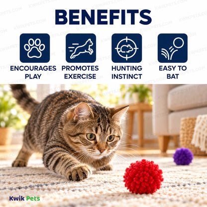 Benefits of Spot Wool Pom Poms Cat Toy with Catnip Assorted 4 Count 1.5-in