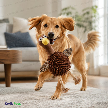Lifestyle of Spot Giggler Plush Dog Toy Chicken Assorted 12-in