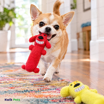 Lifestyle of Multipet Loofa Dog Toy Assorted Mini 6-in