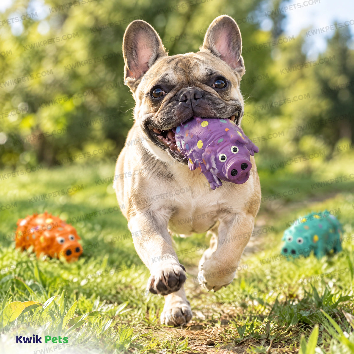 Lifestyle of Multipet Globlets Latex Squeaky Pig Dog Toy Assorted 4-in