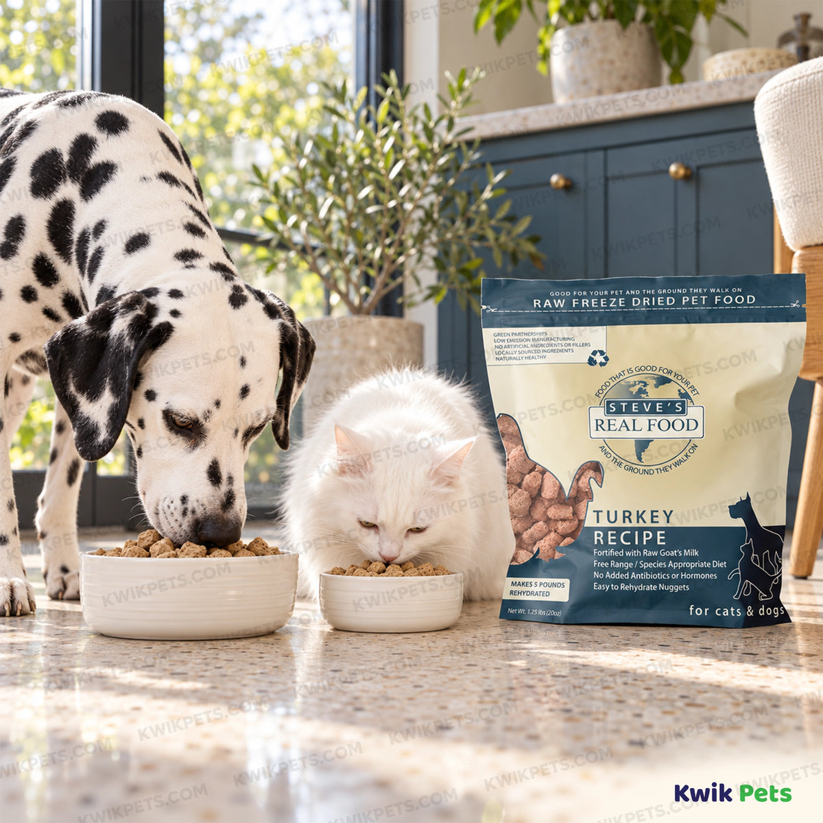 Lifestyle of Steve's Real Food Freeze-Dried Nuggets Raw Dog & Cat Food Turkey Recipe 1.25-lb
