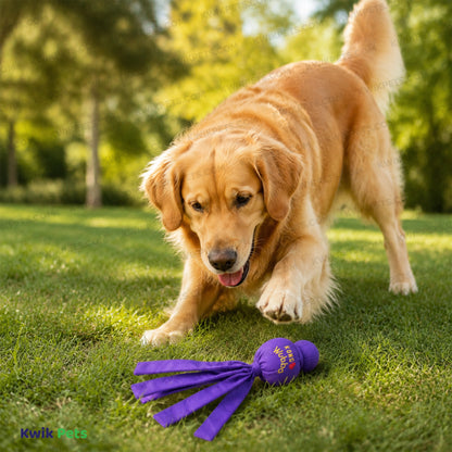 Lifestyle of KONG Water Wubba Dog Toy Assorted XL