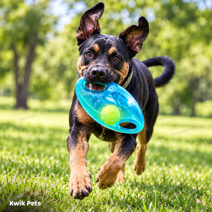 Lifestyle of KONG Jumbler Dog Toy Football Assorted Medium/Large