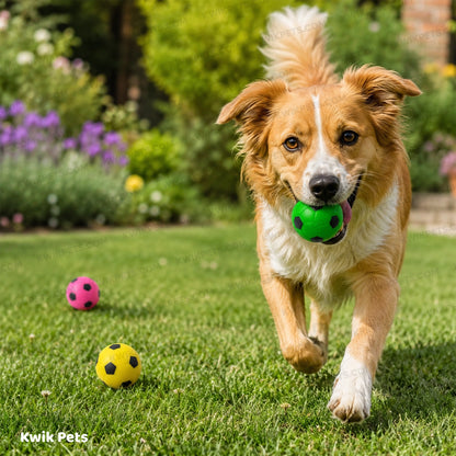 Lifestyle of Spot Soccer Ball Dog Toy Assorted 3-in