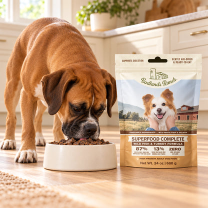Lifestyle of Badlands Ranch Superfood Complete Air-Dried Dog Food Wild Fish & Turkey 24-oz