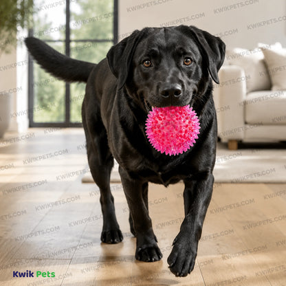 Lifestyle of Petsport USA Gorilla Ball Dog Toy Assorted Large 4-in