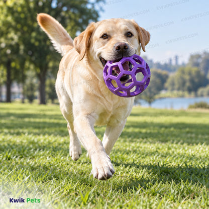 Lifestyle of JW Pet Hol-ee Roller Dog Toy Assorted Large