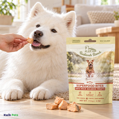 Lifestyle of Badlands Ranch Superfood Bites Freeze-Dried Raw Dog Treats Wild Salmon 4-oz