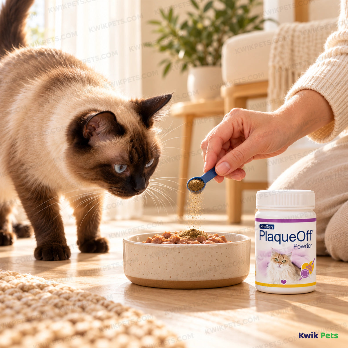 Lifestyle of NaturVet Proden PlaqueOff Powder for Cats 40g