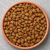 Adult Cat Food
