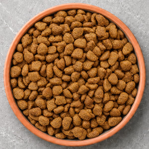 Adult Cat Food