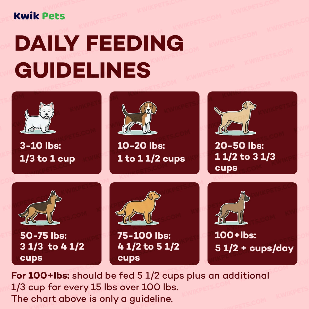 Feeding Guide Lines of AvoDerm Natural Original Lamb Meal & Brown Rice Recipe Dry Dog Food 4.4-lb